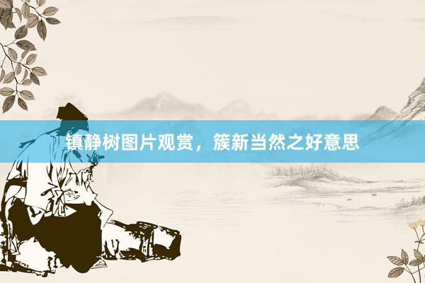 镇静树图片观赏，簇新当然之好意思