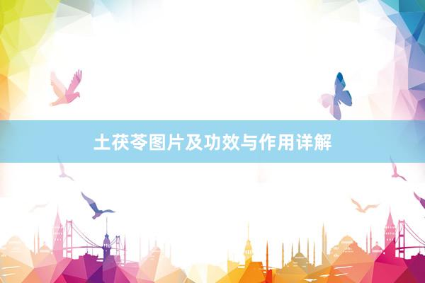 土茯苓图片及功效与作用详解