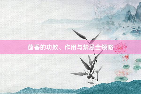 茴香的功效、作用与禁忌全领略