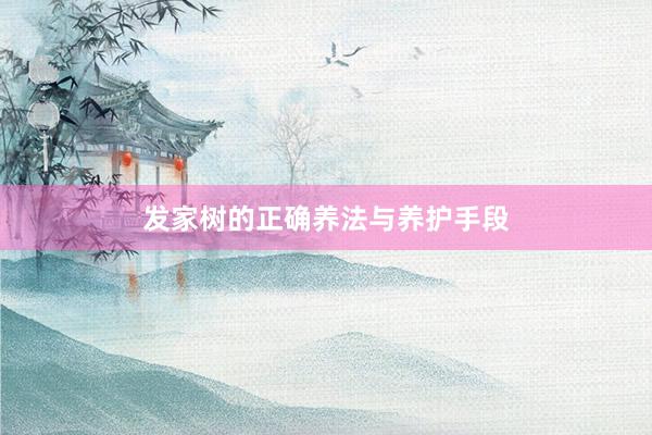发家树的正确养法与养护手段